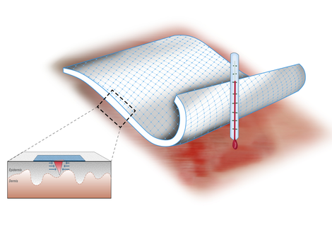An illustration of how the active adhesive dressing (AAD) is meant to better heal the skin.
